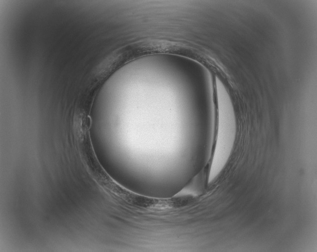 X0000082950119200702152250