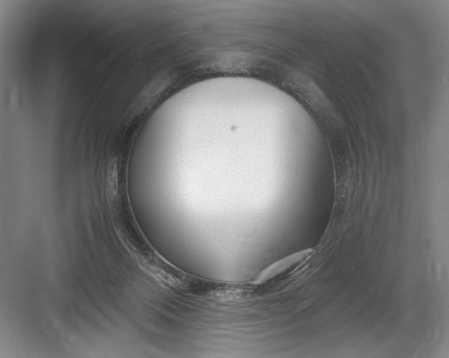 X0000082950120200702152250