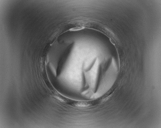 X0000082950121200702152250