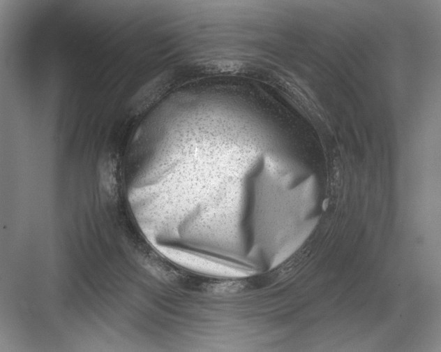 X0000082950122200702152250