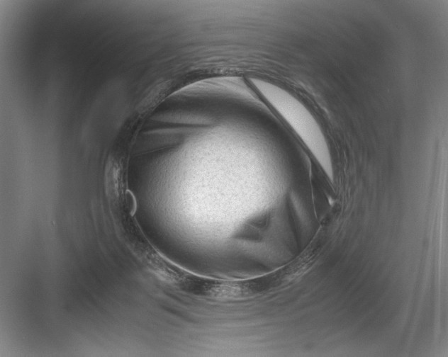 X0000082950123200702152250