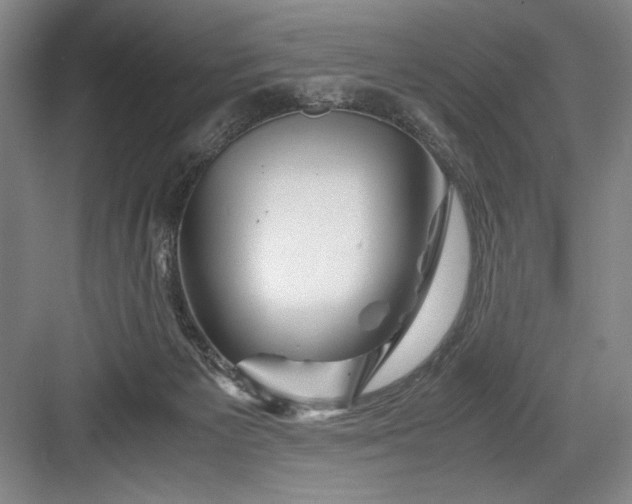 X0000082950125200702152250