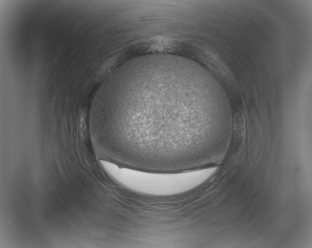 X0000082950127200702152250