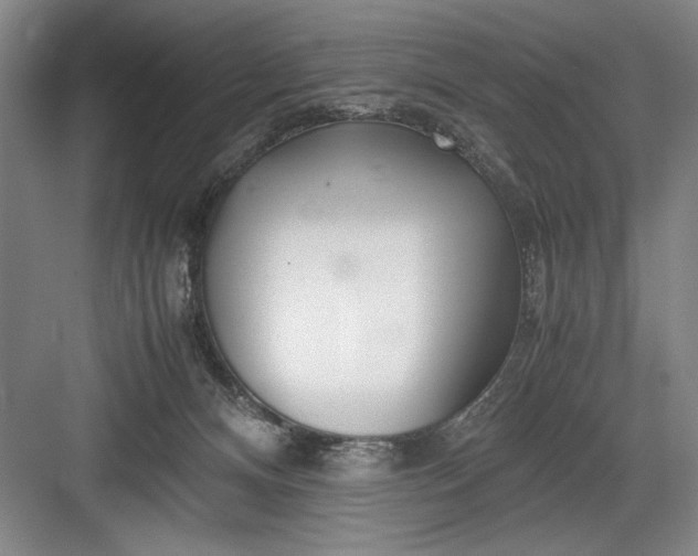 X0000082950128200702152250