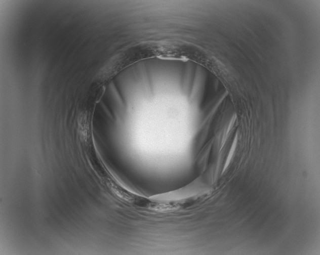 X0000082950129200702152250