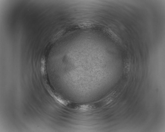 X0000082950130200702152250