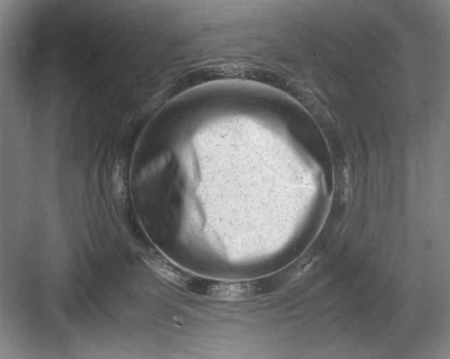 X0000082950131200702152250