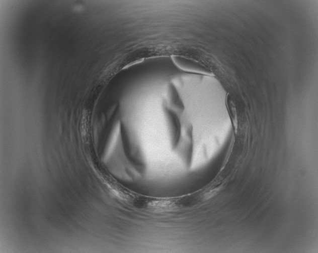 X0000082950133200702152250