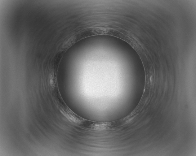 X0000082950134200702152250