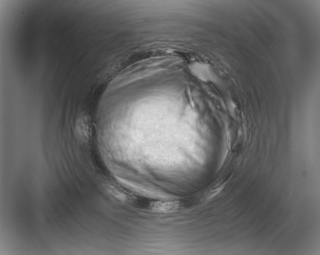 X0000082950135200702152250