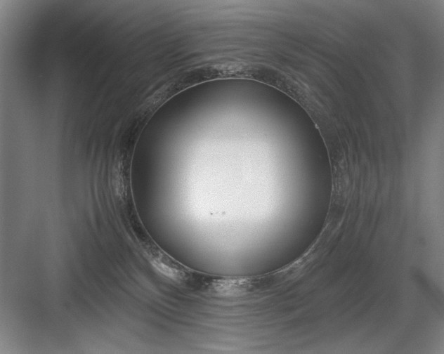 X0000082950136200702152250