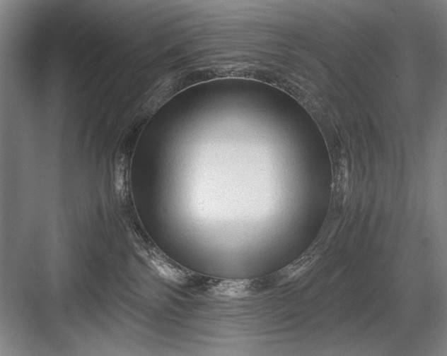 X0000082950138200702152249