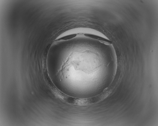 X0000082950139200702152249