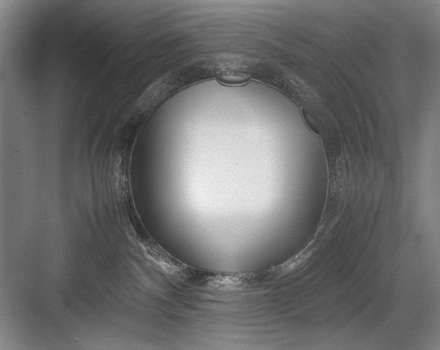 X0000082950140200702152249