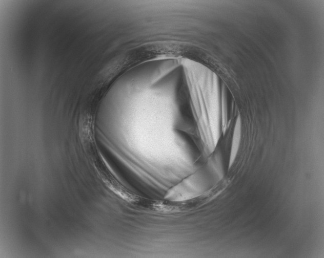 X0000082950141200702152249