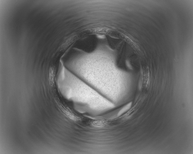 X0000082950142200702152249