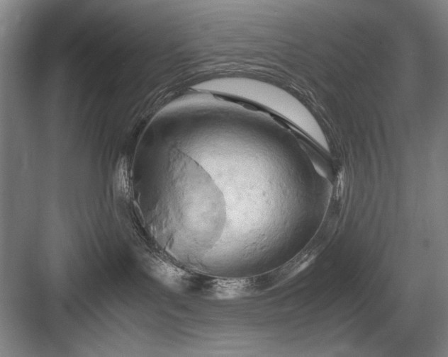 X0000082950143200702152249