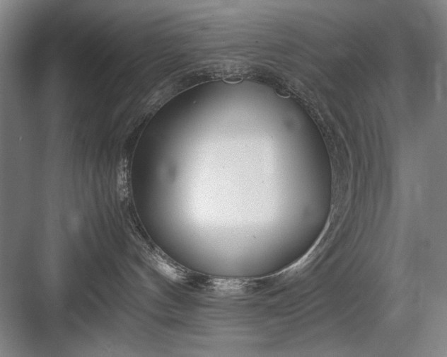 X0000082950144200702152249