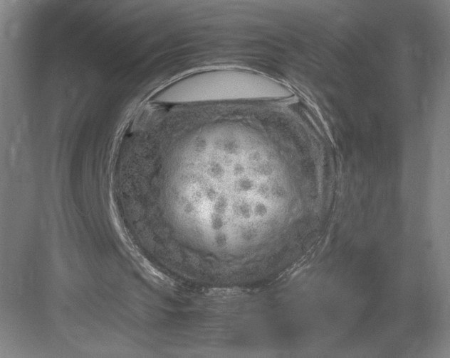 X0000082950145200702152249