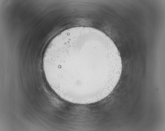 X0000082950146200702152249