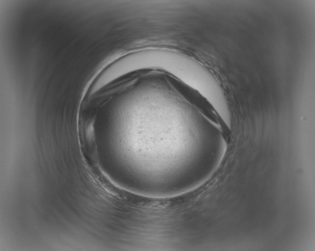 X0000082950148200702152249