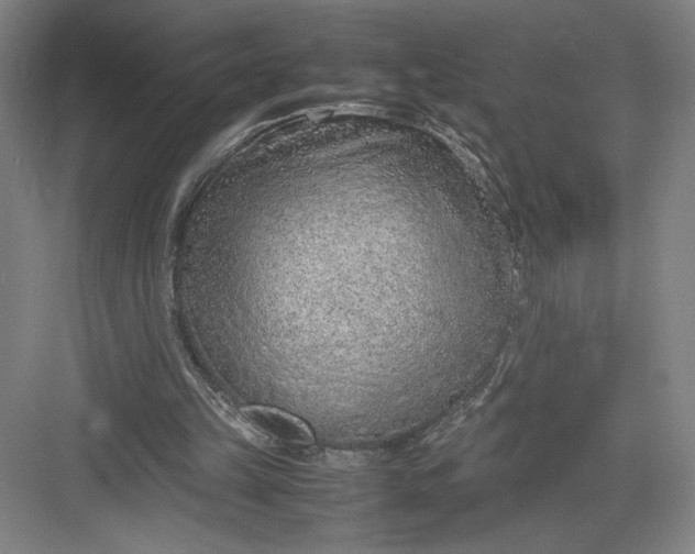 X0000082950149200702152249