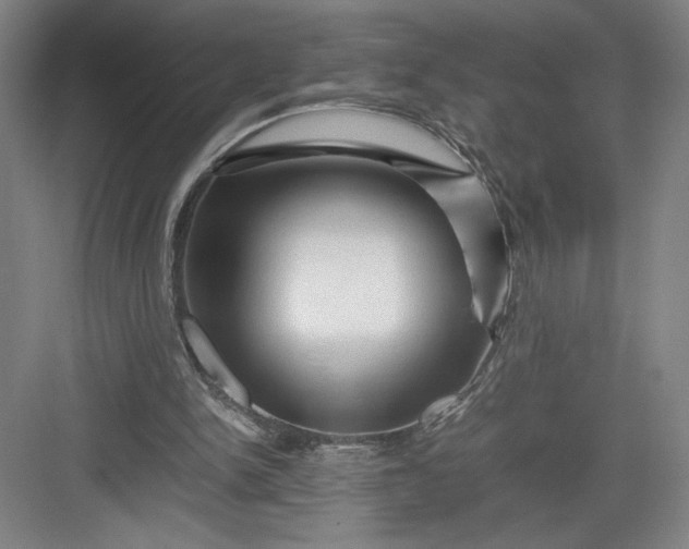 X0000082950150200702152249