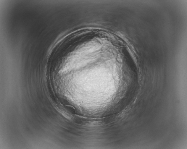 X0000082950151200702152249