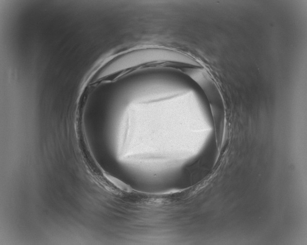 X0000082950152200702152249