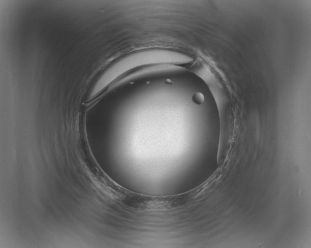 X0000082950154200702152249