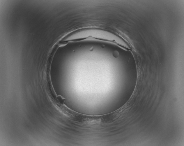 X0000082950155200702152249