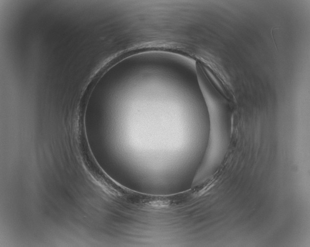 X0000082950156200702152249