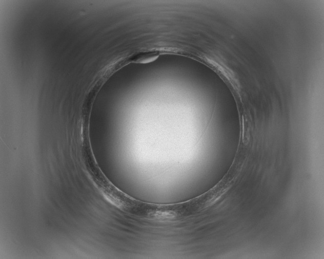 X0000082950157200702152249