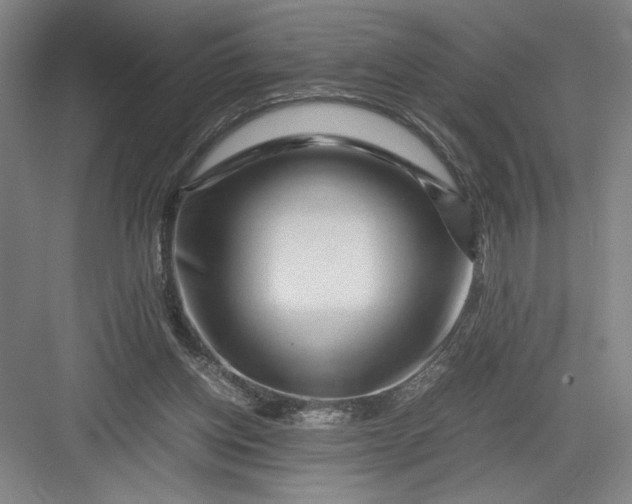 X0000082950158200702152249