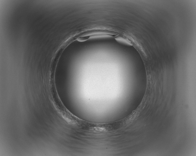 X0000082950159200702152249