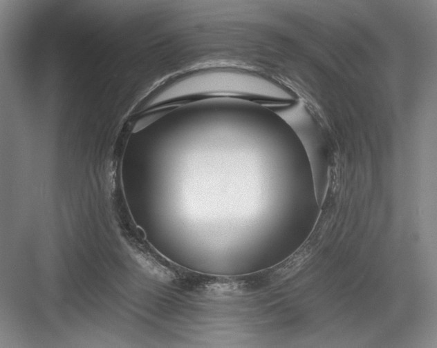 X0000082950160200702152249