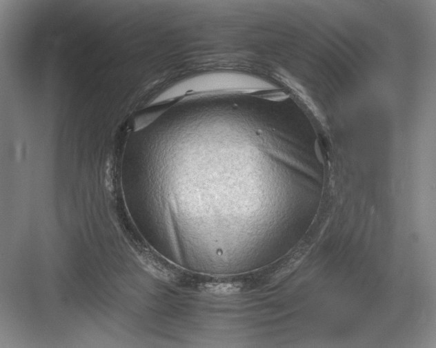 X0000082950161200702152249