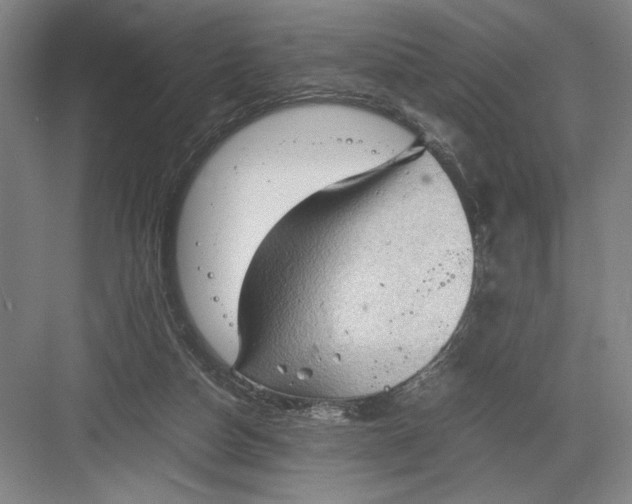 X0000082950162200702152249