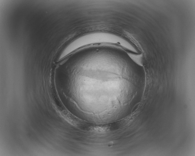 X0000082950163200702152249