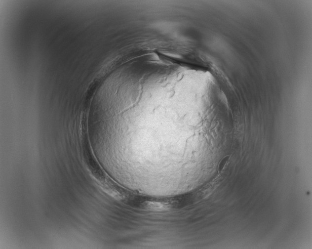 X0000082950167200702152249