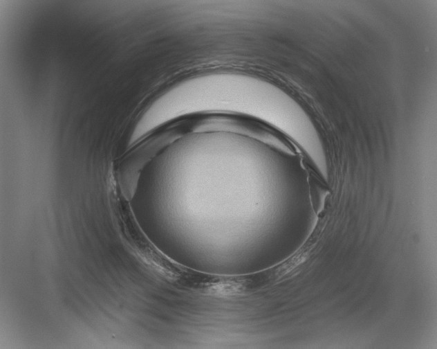 X0000082950168200702152249