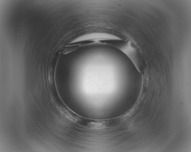 X0000082950170200702152249