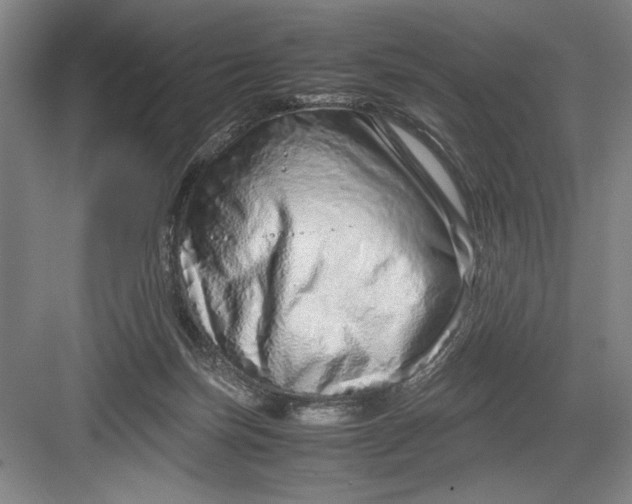 X0000082950171200702152249