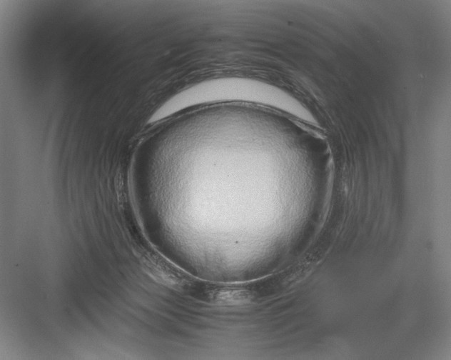 X0000082950173200702152249