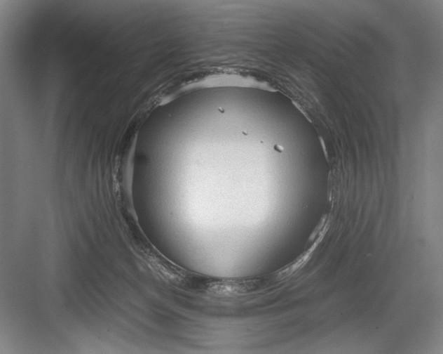 X0000082950174200702152249