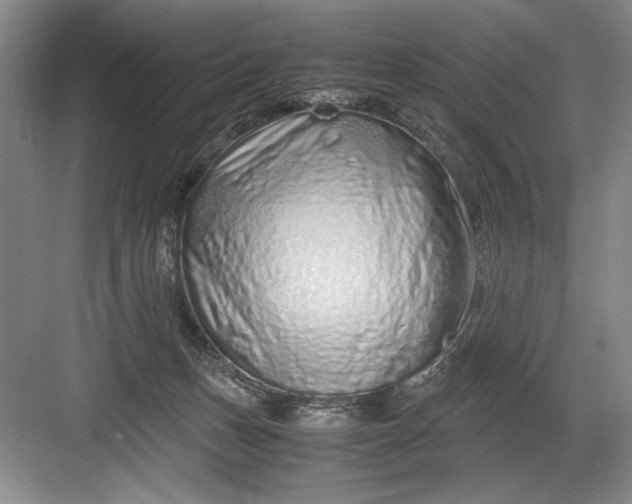 X0000082950175200702152249