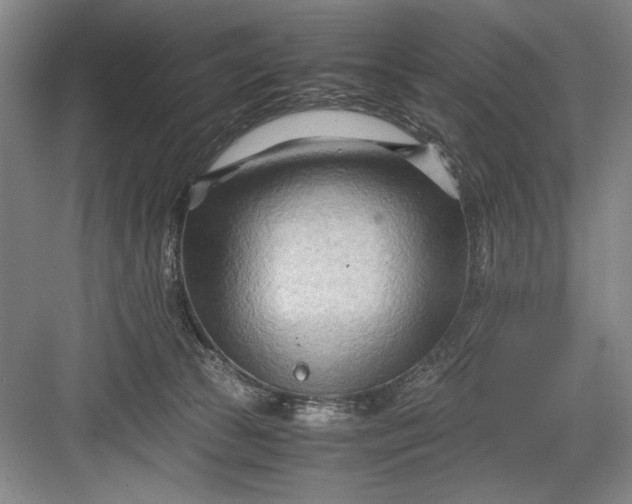 X0000082950177200702152249