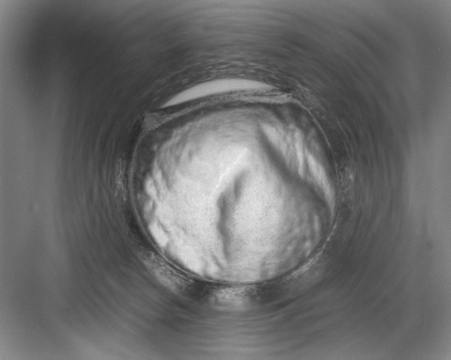 X0000082950178200702152249