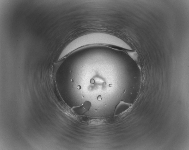 X0000082950179200702152249