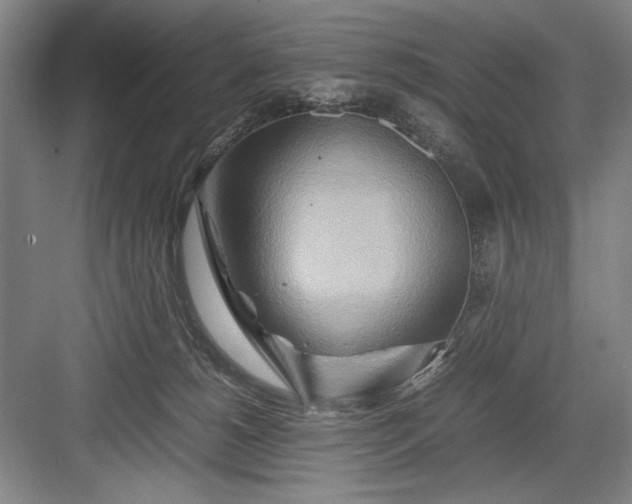 X0000082950180200702152249